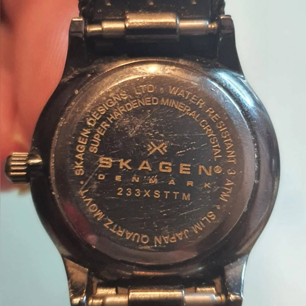 🦋10/$20🦋 Skagen Titanium Silver Mesh Women's Watch